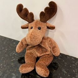 Mary Meyer Moose Plush Beanie Stuffed Toy Animal Bull 1998 Little 9” 
