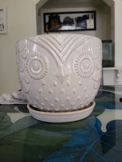 Owl Pot