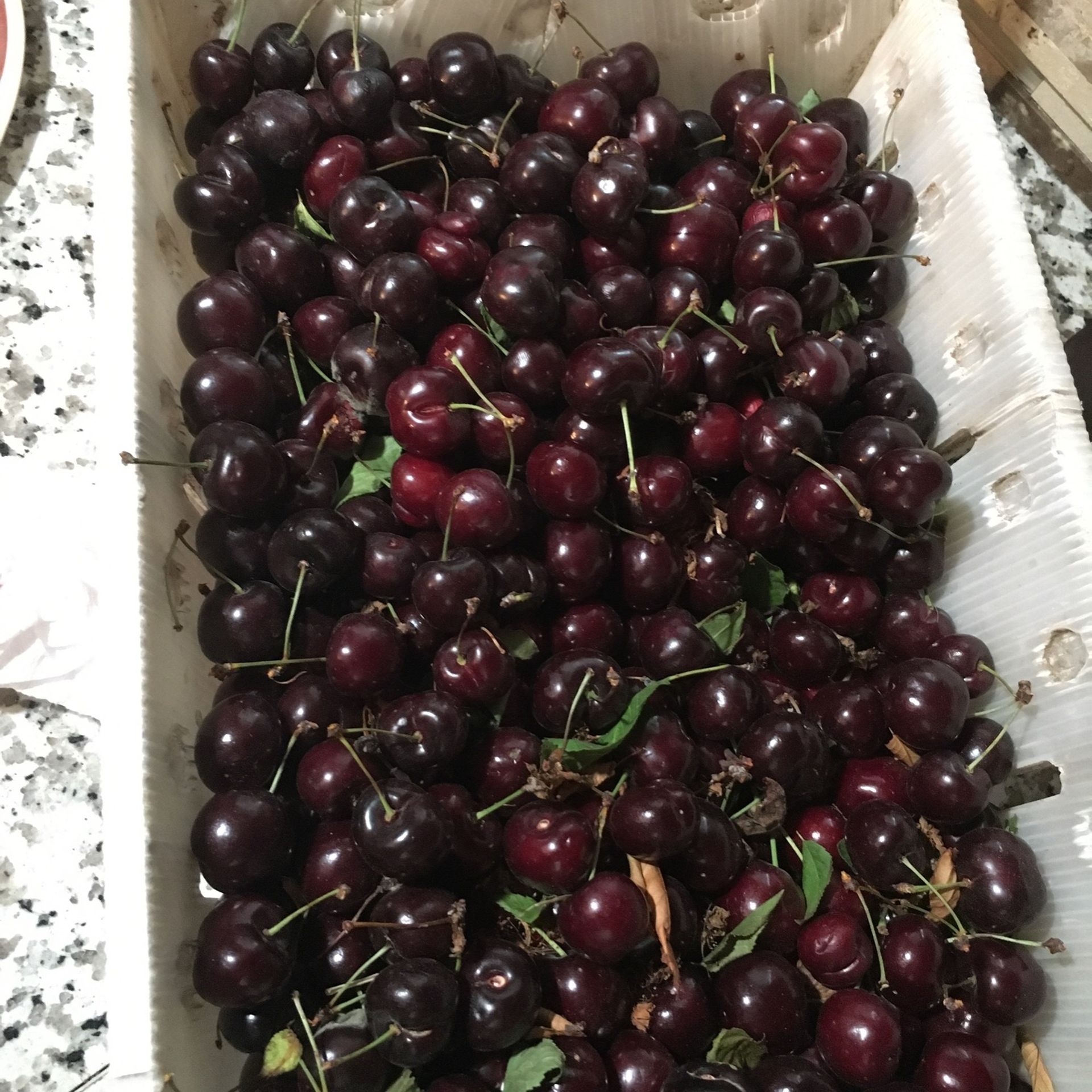 Cherries $20.00 La Caja 19465 E Adams.ave.Reedley Va.