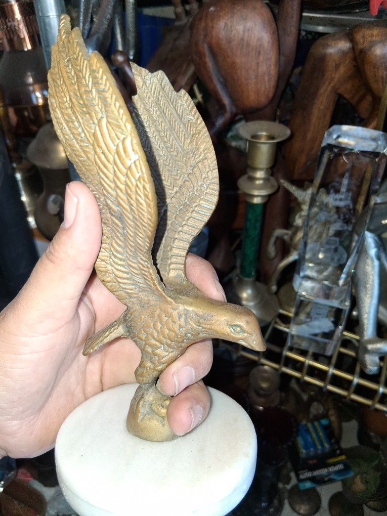 Aguila De Bronce