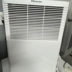 Hisense 25-Pint Dehumidifier (Model DH3020K1W) – Great Condition