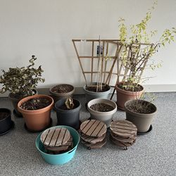 Plastic pots & stands