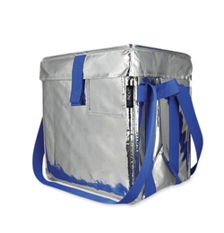 NEW  Freezable Cooler bag.  Clean easily.