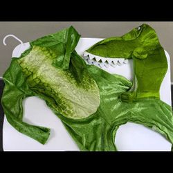 Green Dinosaur Costume 