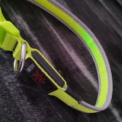 Collar De Perro Led Color Verde Para Pasear Al Perro De Noche Sea Altamente Visible tres Modos De Luz Recargable 