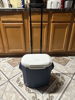 portable cooler 