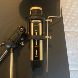 Gold Mettalic Microphone 