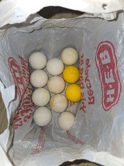 11 lacrosse balls used