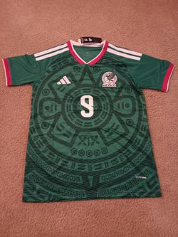 Mexico 26 Home Raul Jersey