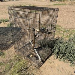 Cage For Birds 