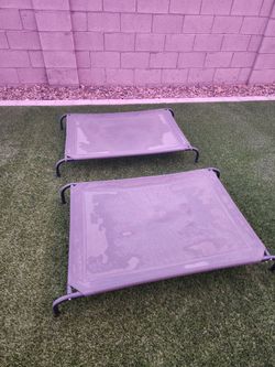 Dog Beds