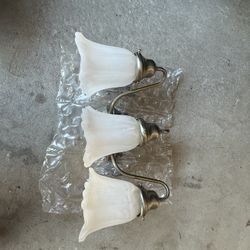 Beautiful Bathroom Wall Fixture 
