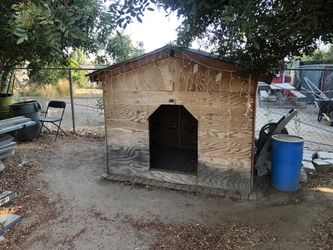 Big dog house