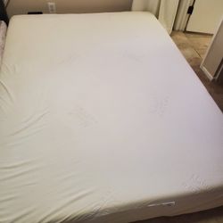 Nature's Dream Queen 