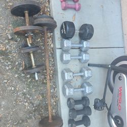 Weights   and weslo Cycle