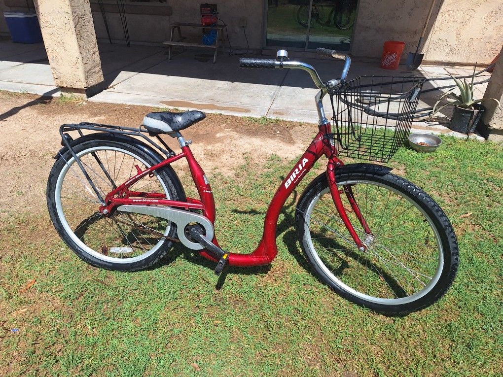 Girls Bicycle 