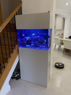 Selling My Custom Built 29g Reef Tank 