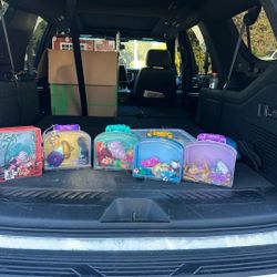 Disney Animators Princess Collection