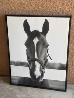 Black & White Horse Oil Painting