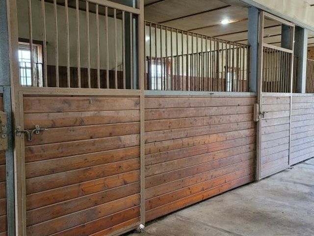 Horse Stall Doors For SALE