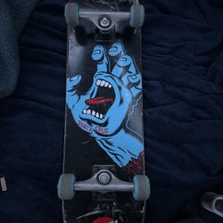 Santa Cruz Skateboard 