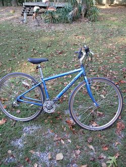 RALEIGH C 200 CROSS SPORT MTB ATB 29 INCH TIRES SPECIALIZED FATBOYS