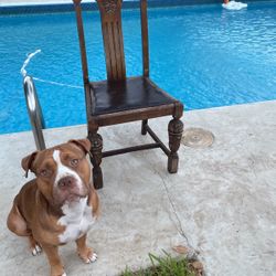 Old Antique Wooden Chair