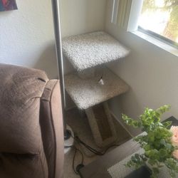 Cat Tower