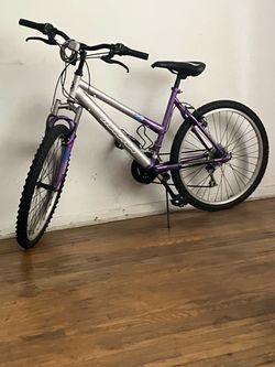 $80, Magna Great Divide Women’s Bike