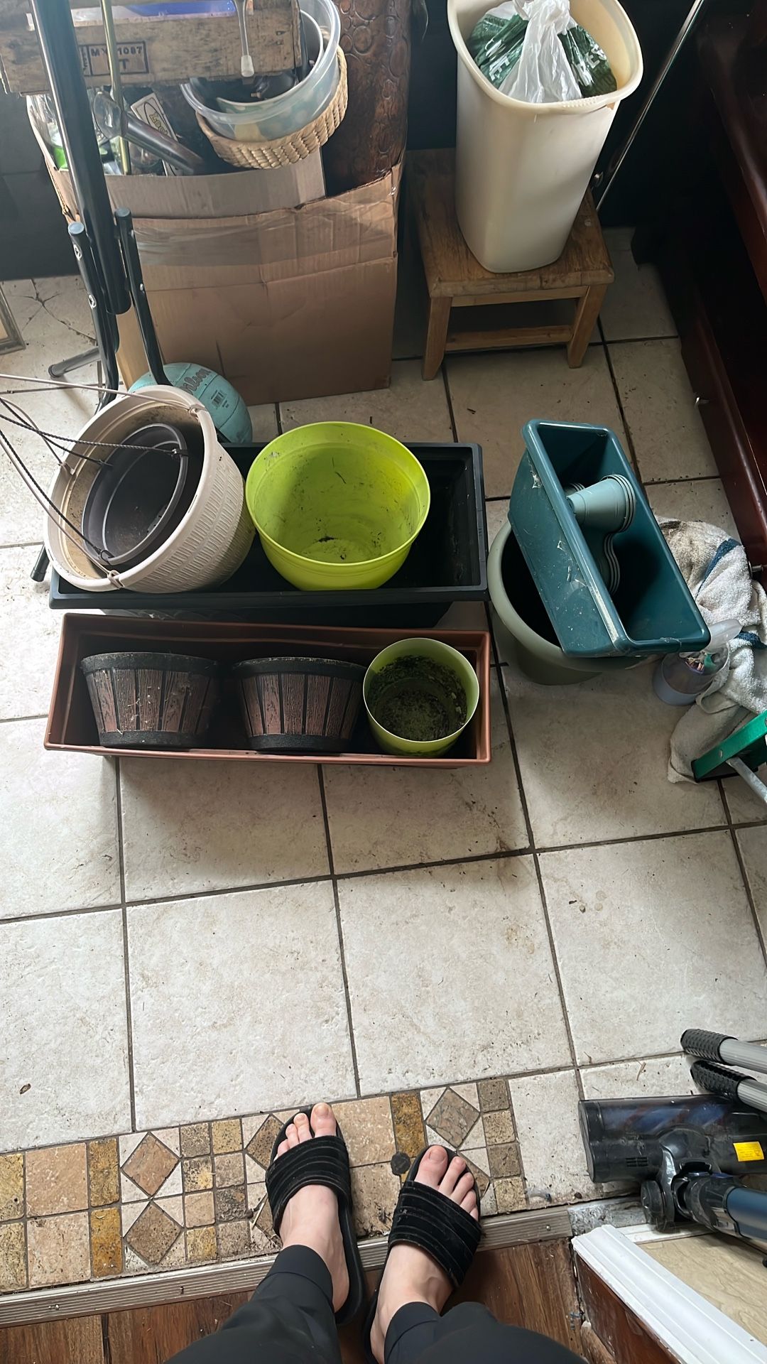 Planters Pots Plants