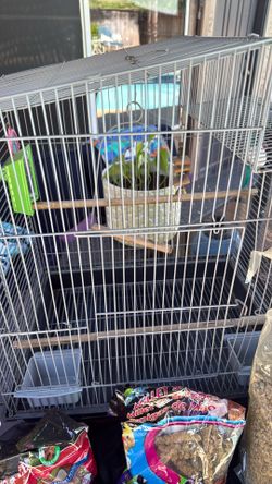 Bird Cage/ bird cver for the bottom/ Food