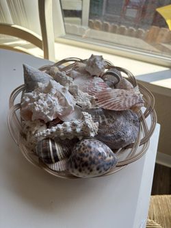 Decorative Seashell Basket – Coastal Home Accent