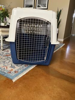 Dog Kennel