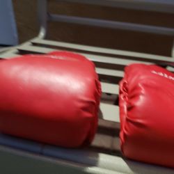 Kickboxing Gloves