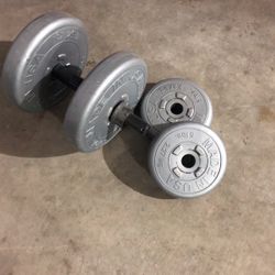 dumbbell 30lbs