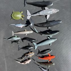 Realistic Okean Animals