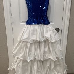 Prom / Quinceanera Dress (Size 10)