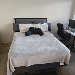 Queen Size Bed Mattress - Very Comfortable, Medium Soft