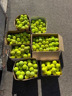 Used Tennis Balls.