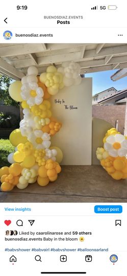 Party Decor