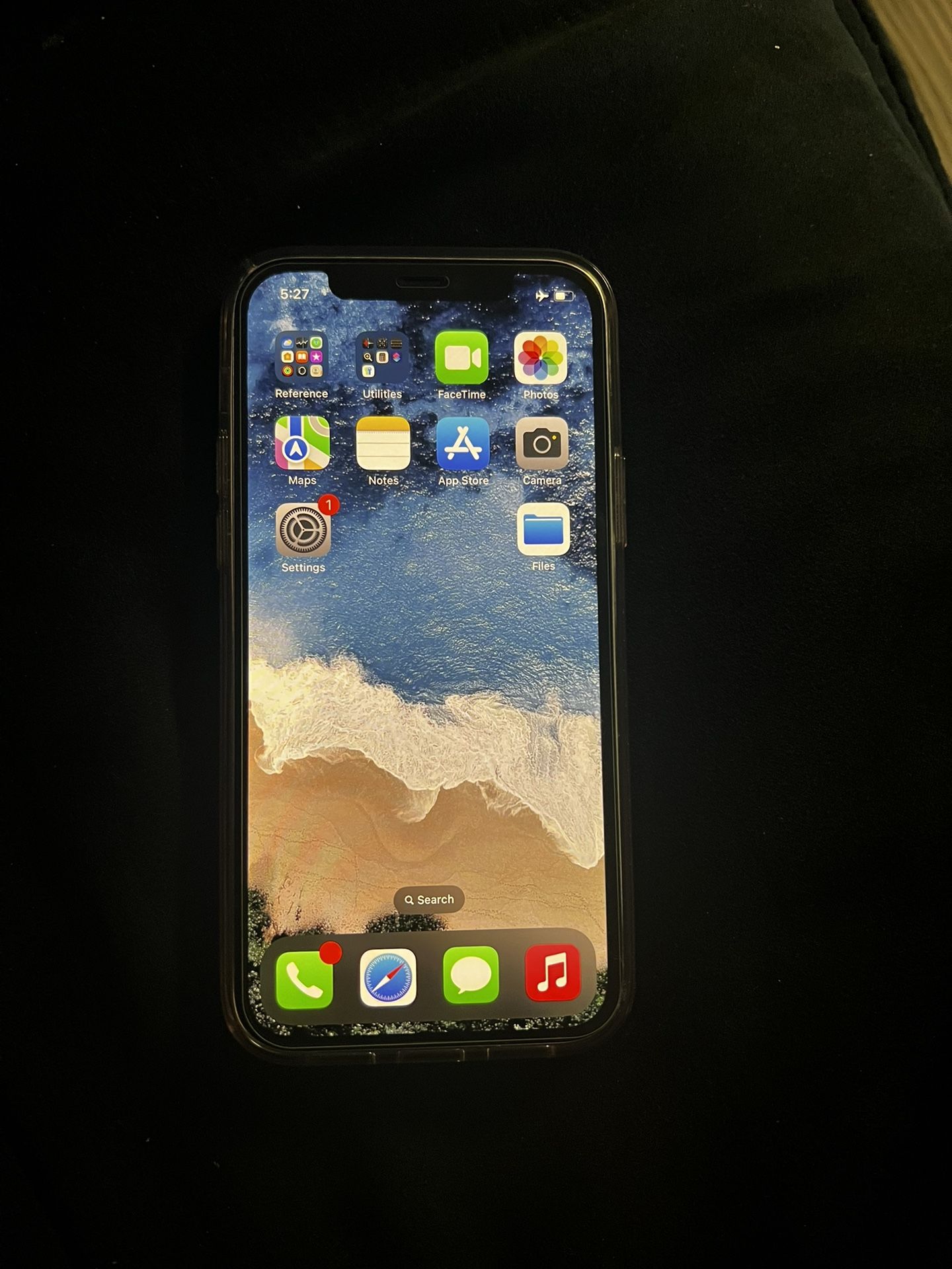 Apple iPhone 12 with Case