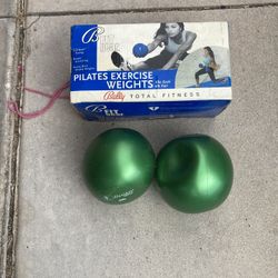 Exercise weights