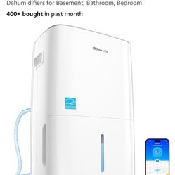 GoveeLife Dehumidifier