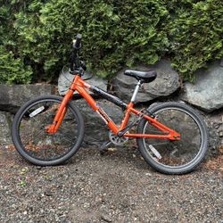 20” Kids Free Agent Champ BMX Bike