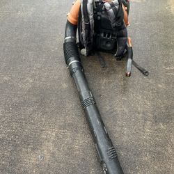 Echo Leaf Blower