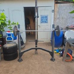 Weight With Bars 100 Pounds 