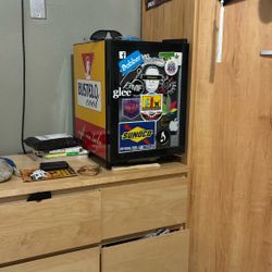 Mini Fridge