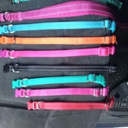 Dog Collars 