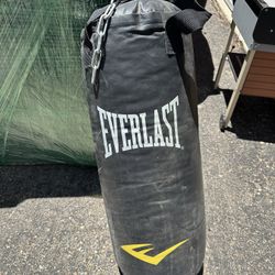 Everlast Punching Bag 