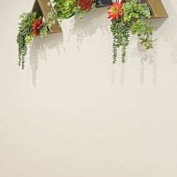 Succulent floral designs set